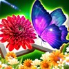 Badam Live